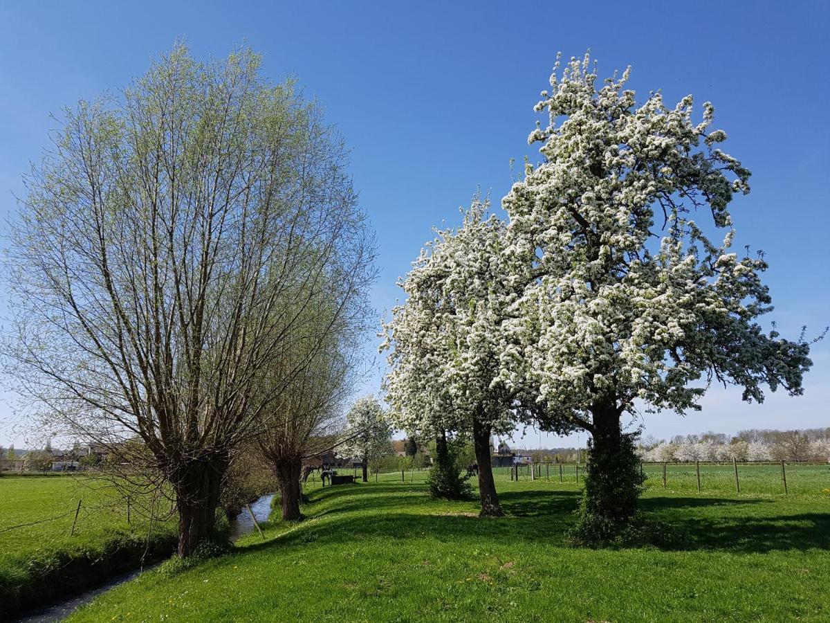 Meschermolen Mesch